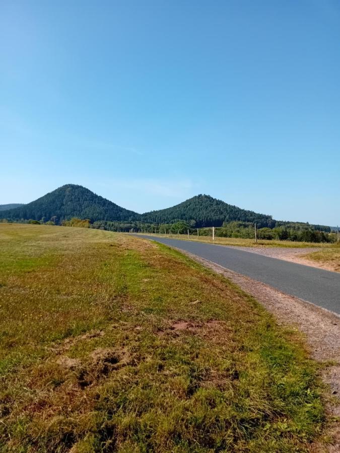 Apartament La Bienvenue Saint-Michel-sur-Meurthe Zewnętrze zdjęcie